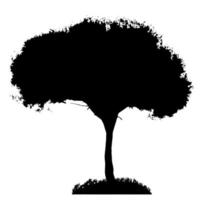 Tree Silhouette Isolated on White Backgorund. Vecrtor Illustrati vector