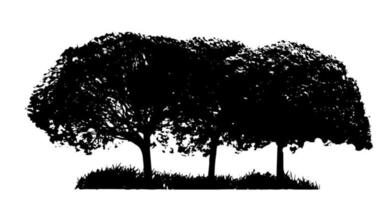 Tree Silhouette Isolated on White Backgorund. Vecrtor Illustrati vector