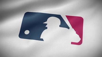 MLB Flag close-up