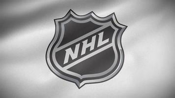 NHL Flag close-up video