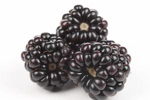 Bayas negras sobrecarga de frutas frescas coloridas bayas mezcla variada en blanco foto