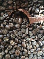 brown coffee beans in a sack with a wooden spoon photo