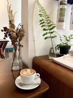 milk coffee with plant background and white wall background photo