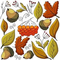 Set of illustrations on the autumn theme vector