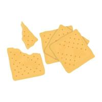 Broken Crackers Concepts vector