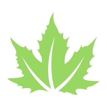 Maple Leaf Concepts vector