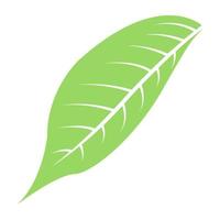 Magnolia Leaf Concepts vector