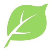 Mulberry Leaf Concepts vector