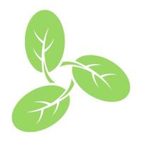 Moringa Leaves Design vector