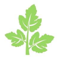 Coriander Leaf Concepts vector