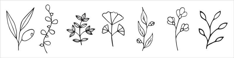 Single line flowers set vector