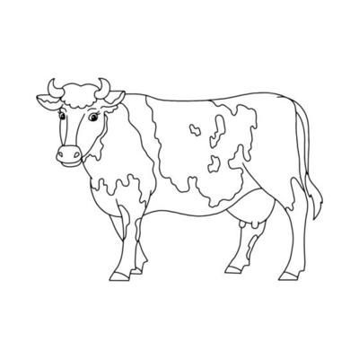 Cow Coloring Page Vector Art, Icons, and Graphics for Free Download