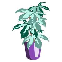 monstera fleur dans un pot de couleur pourpre vector