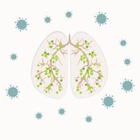 pulmones humanos infectados con el virus vector