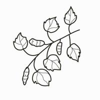 Birch leaves black and white image in doodle style. vector