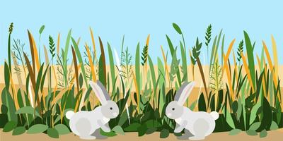 Two bunnies met in a field of lush grass vector