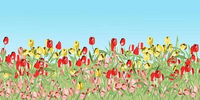 paisaje con tulipanes rojos, rosas y amarillos vector