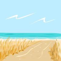 The sandy shore of the beach and the road to the sea vector