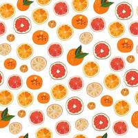 Pattern of citrus fruits oranges and grapefruits vector