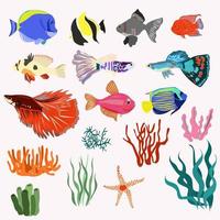 Set of aquarium fish and algae with corals vector