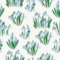 Snowdrops background or pattern with snow vector