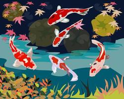 Fish koi carp swim in the pond vector