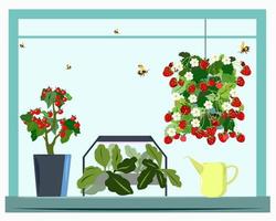 Home garden or farm and mini greenhouse vector