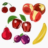 Set of juicy ripe fruits on a white background vector