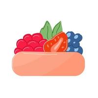 Cake with raspberries and strawberries and blueberries on a white plate vector