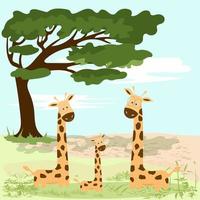 A family of giraffes near a large tree vector