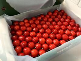 lots of bright red lychees are placed in a plastic container photo