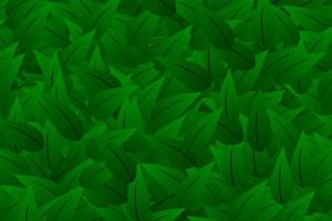 textura de hojas verdes vector
