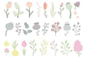 conjunto floral de hermosas flores silvestres en flor y hojas. cabeza de flor, pétalos, hojas y ramas. colección botánica de flores cortadas de pradera y jardín. vector