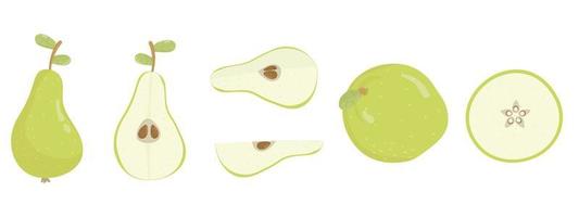 Cartoon pear ftuit set. Different perspective vector