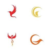 Phoenix logo design vector illustration