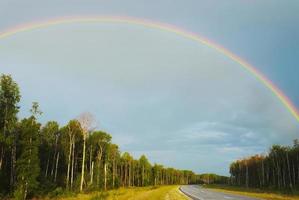 Ambiente colorido del arco iris soleado de verano bosque de abetos con césped y árboles en el mar foto