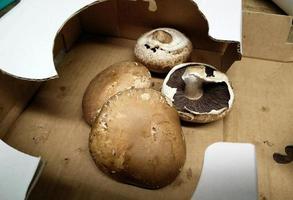 Brown mushrooms have been harvested put in a cardboard box