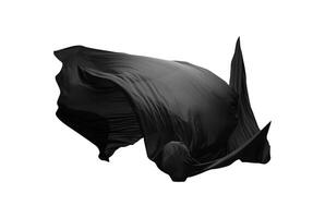 black line smooth elegant black flying fabric silk texture abstract on white photo