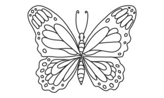 Ilustración de vector lineart de mariposa sobre fondo blanco, boceto de insecto mariposa de vista superior dibujada a mano