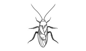Ilustración de vector lineart de cucaracha sobre fondo blanco, boceto de insecto de cucaracha de vista superior dibujada a mano
