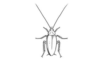 Ilustración de vector lineart de cucaracha sobre fondo blanco, boceto de insecto de cucaracha de vista superior dibujada a mano