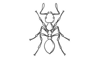 Ilustración de vector lineart de hormiga sobre fondo blanco, boceto de insecto hormiga vista superior dibujados a mano