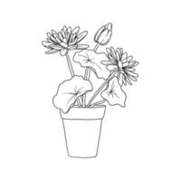 the ornamental house plant in pot. beautiful illustration of the floral graphic for coloring, element design, decoration, and more. a hand drawn illustration isolated on white.