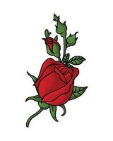 una hermosa ilustración de una rosa roja. una rosa floreciente con hojas verdes aisladas en blanco para el diseño del elemento. un arte vectorial para invitación de boda, evento romántico, tarjeta de felicitación, etc. vector