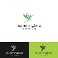 hummingbird logo design vector with full line and color styles