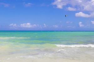 playa tropical mexicana 88 punta esmeralda playa del carmen mexico.
