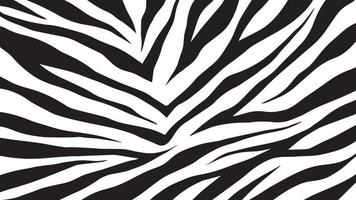 Zebra Print Texture vector