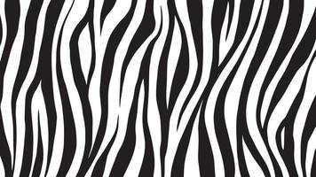 Background of Zebra Stripes vector