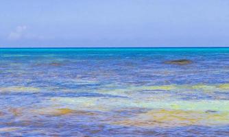 Tropical mexican colorful beach Punta Esmeralda Playa del Carmen Mexico. photo