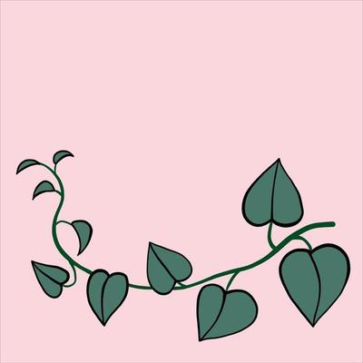 simplicity ivy freehand drawing flat design.